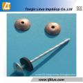 Umbrella Head Roofing Nails with Rubber Washer